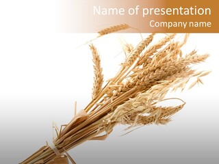 Crop Bread Harvest PowerPoint Template