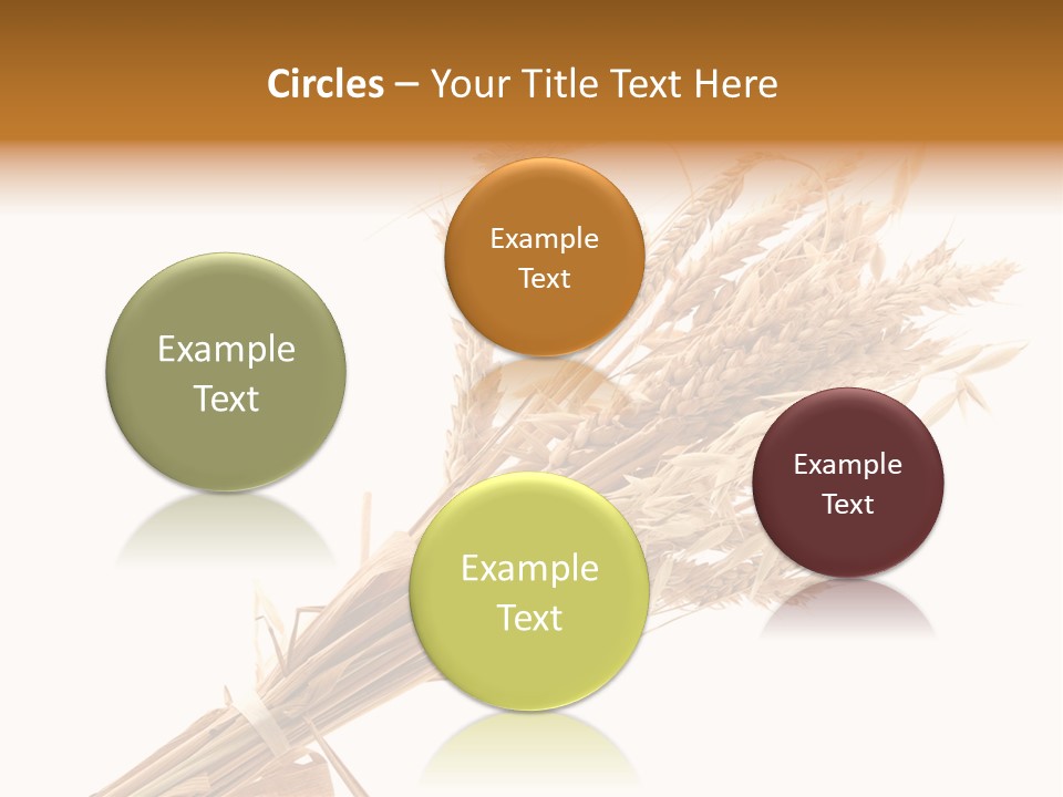 Crop Bread Harvest PowerPoint Template