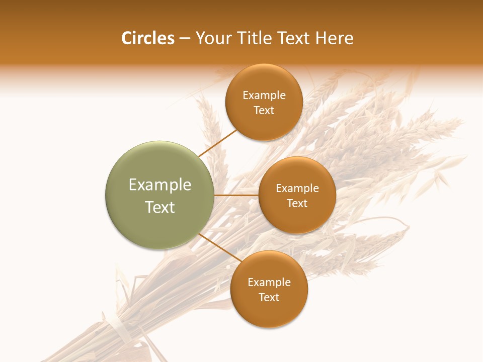 Crop Bread Harvest PowerPoint Template