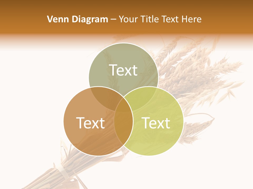 Crop Bread Harvest PowerPoint Template