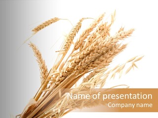 Bakery Cereal Bread PowerPoint Template