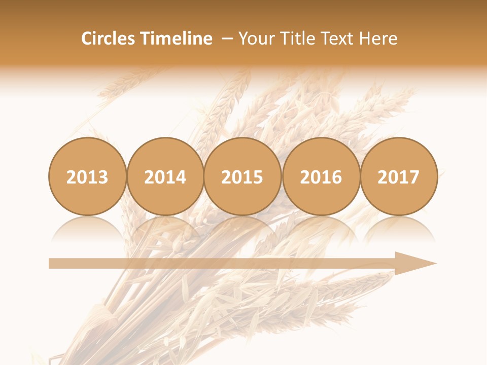 Bakery Cereal Bread PowerPoint Template