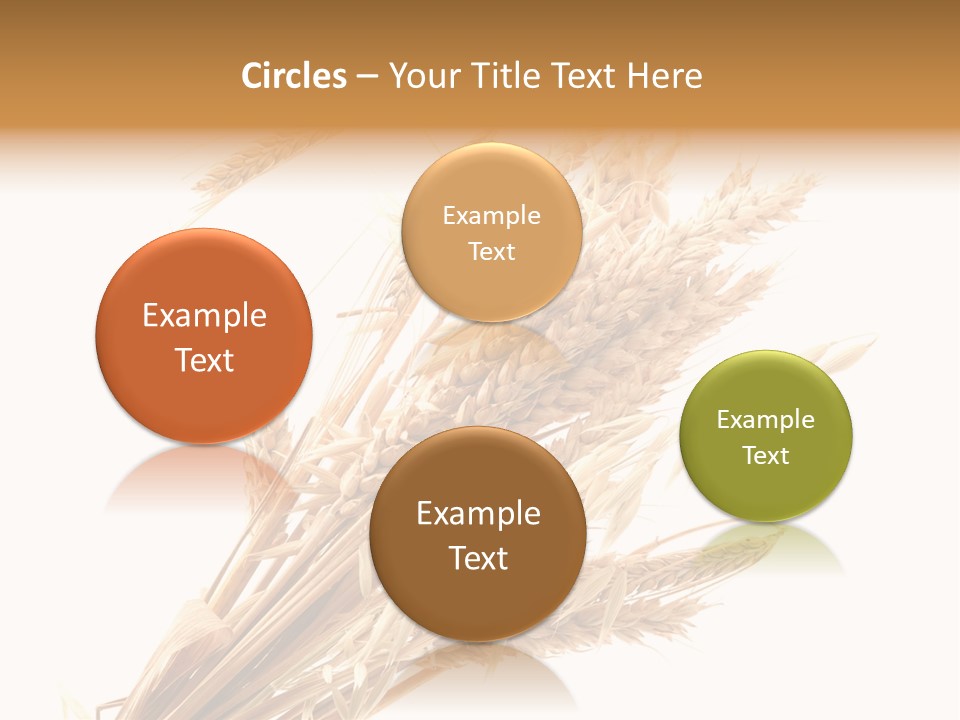 Bakery Cereal Bread PowerPoint Template