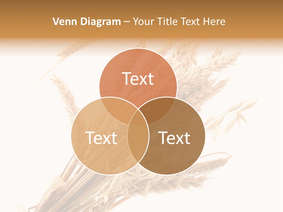 Bakery Cereal Bread PowerPoint Template