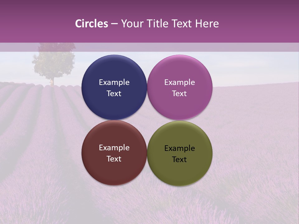 French Line Aroma PowerPoint Template