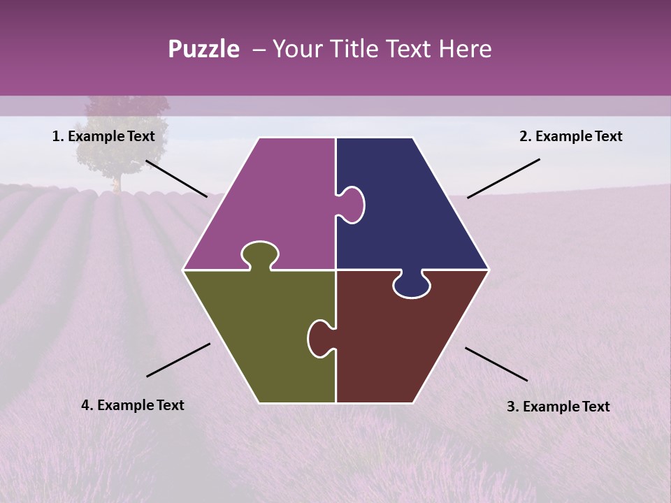 French Line Aroma PowerPoint Template