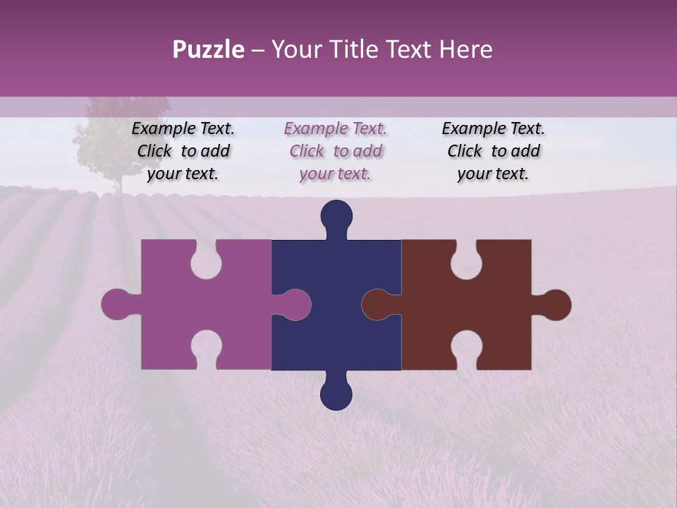 French Line Aroma PowerPoint Template