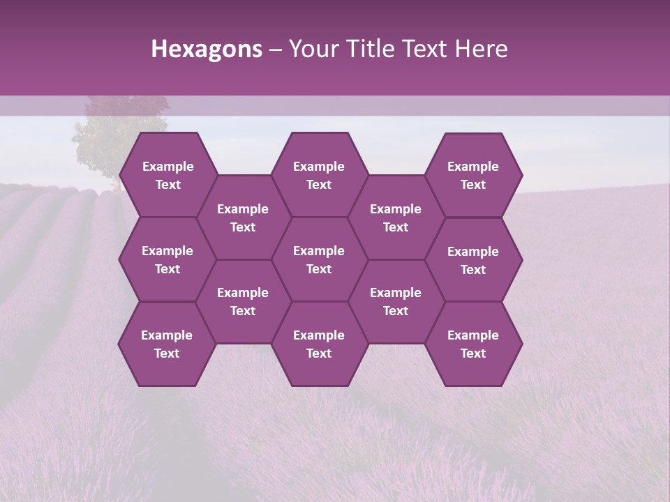 French Line Aroma PowerPoint Template