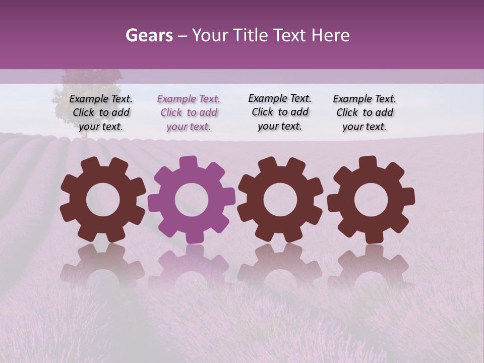 French Line Aroma PowerPoint Template