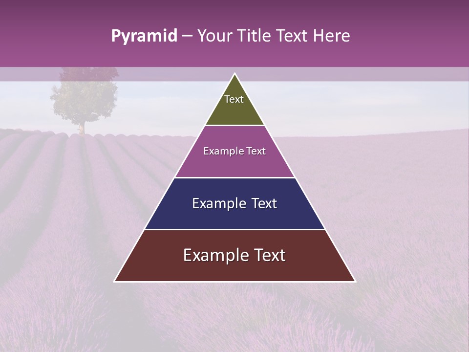 French Line Aroma PowerPoint Template