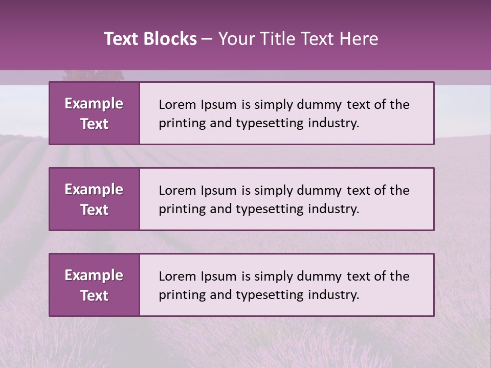 French Line Aroma PowerPoint Template
