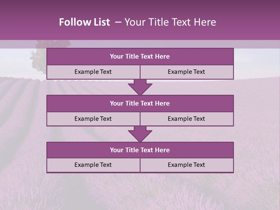 French Line Aroma PowerPoint Template