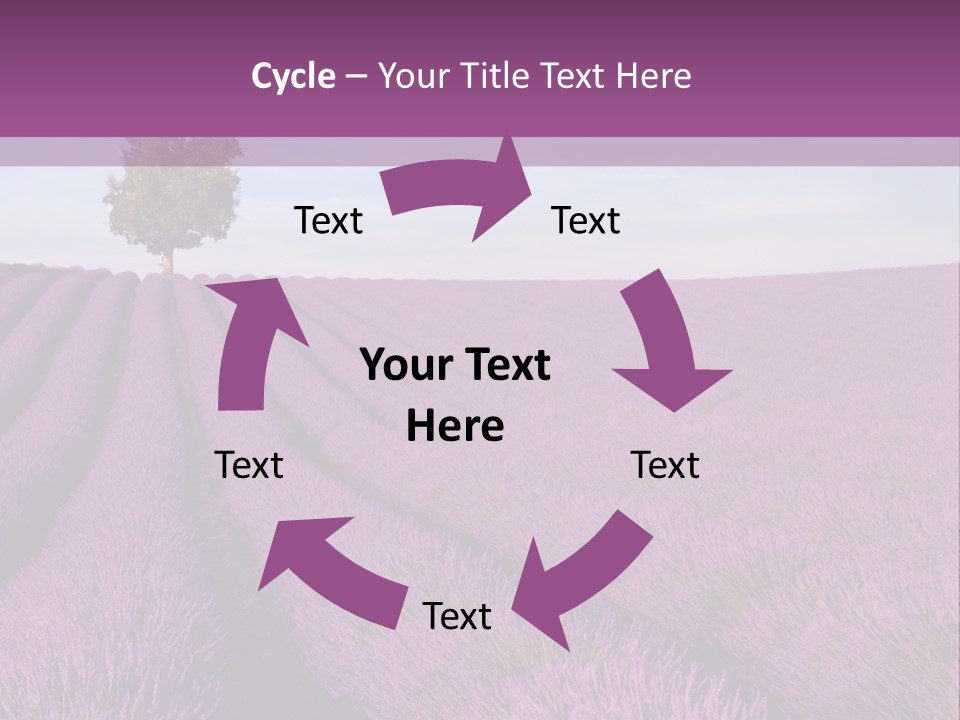 French Line Aroma PowerPoint Template