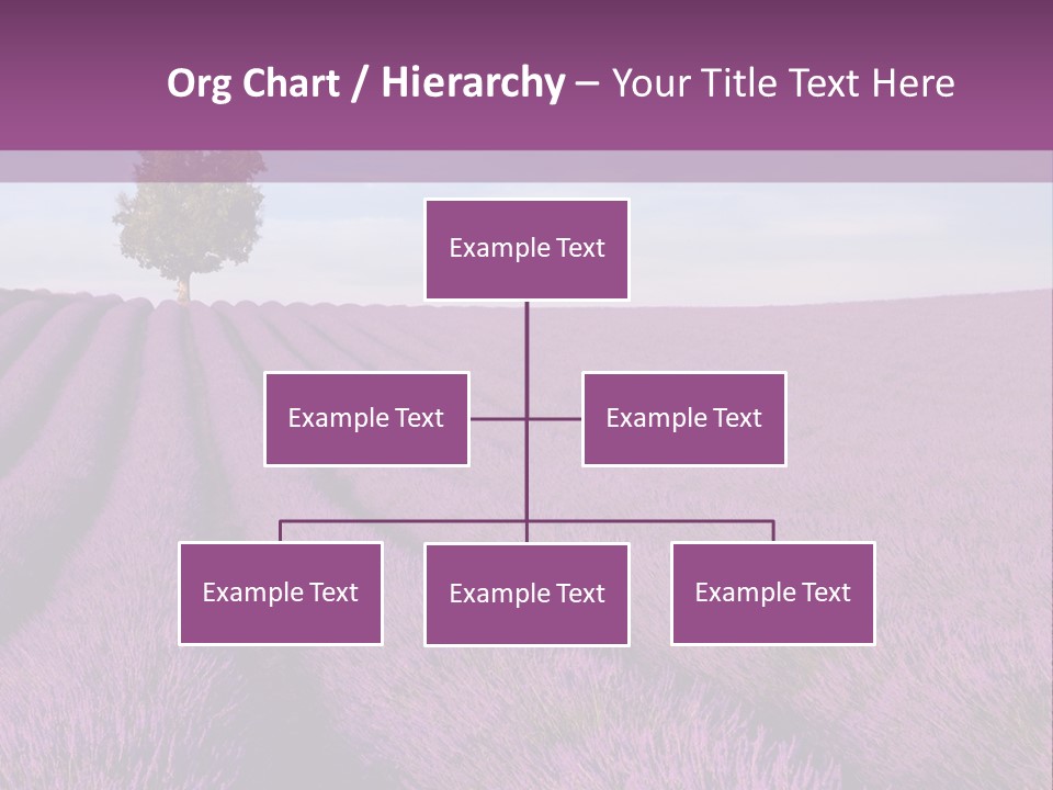 French Line Aroma PowerPoint Template