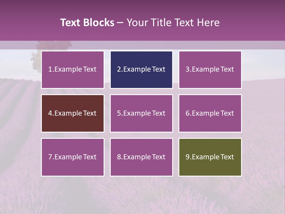 French Line Aroma PowerPoint Template