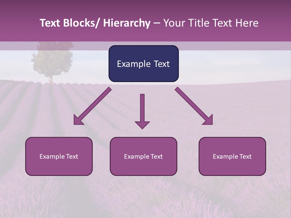 French Line Aroma PowerPoint Template