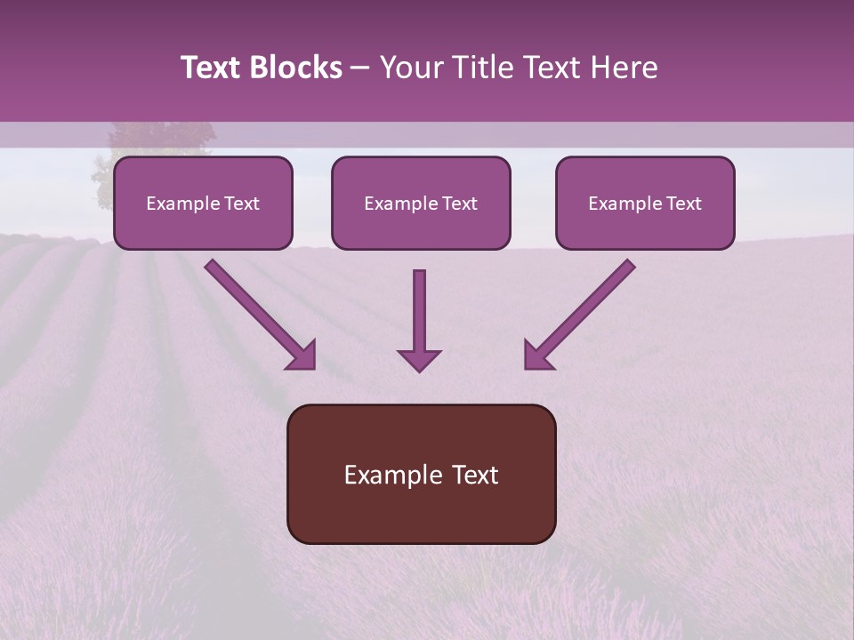 French Line Aroma PowerPoint Template