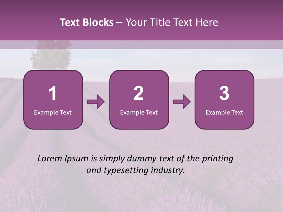 French Line Aroma PowerPoint Template