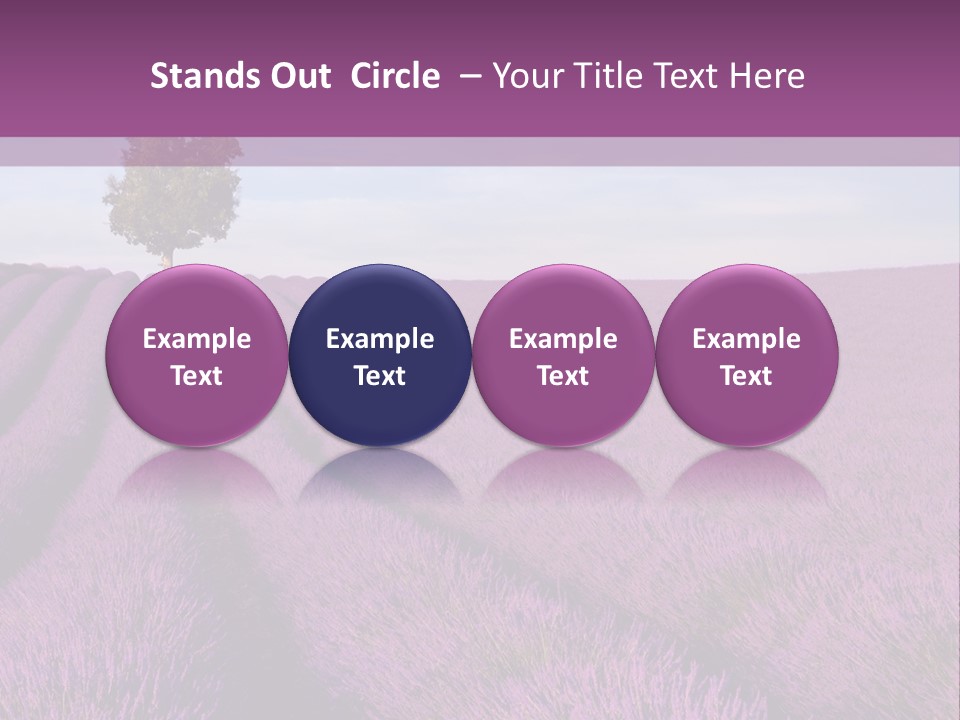 French Line Aroma PowerPoint Template