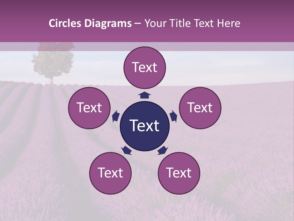 French Line Aroma PowerPoint Template