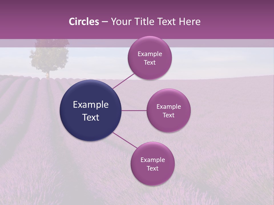 French Line Aroma PowerPoint Template