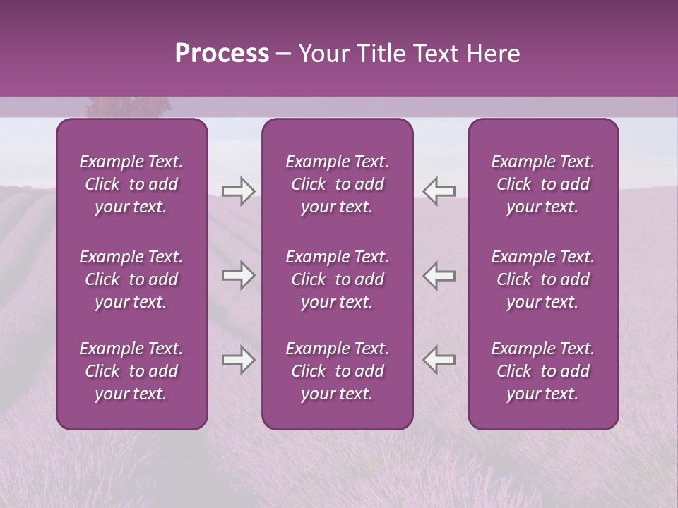 French Line Aroma PowerPoint Template