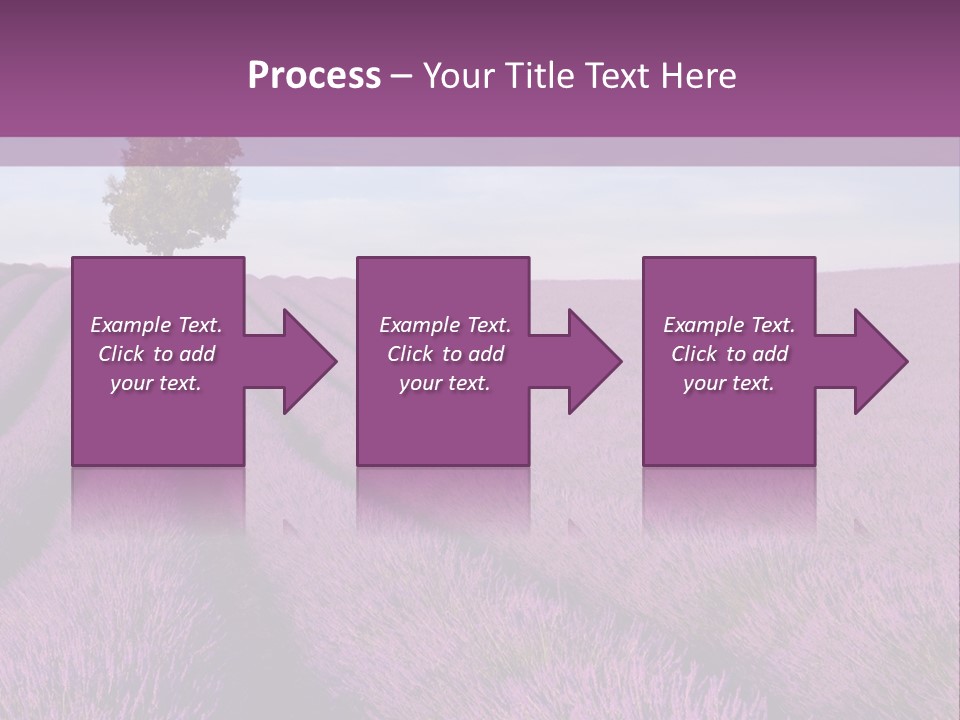 French Line Aroma PowerPoint Template