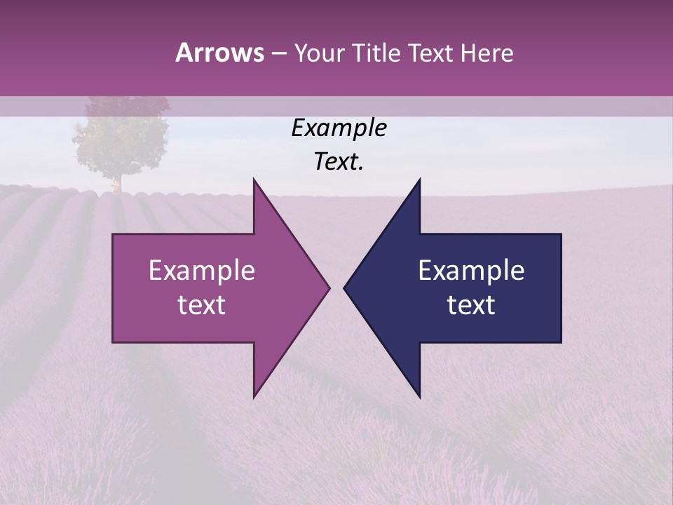 French Line Aroma PowerPoint Template