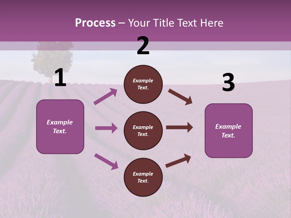 French Line Aroma PowerPoint Template