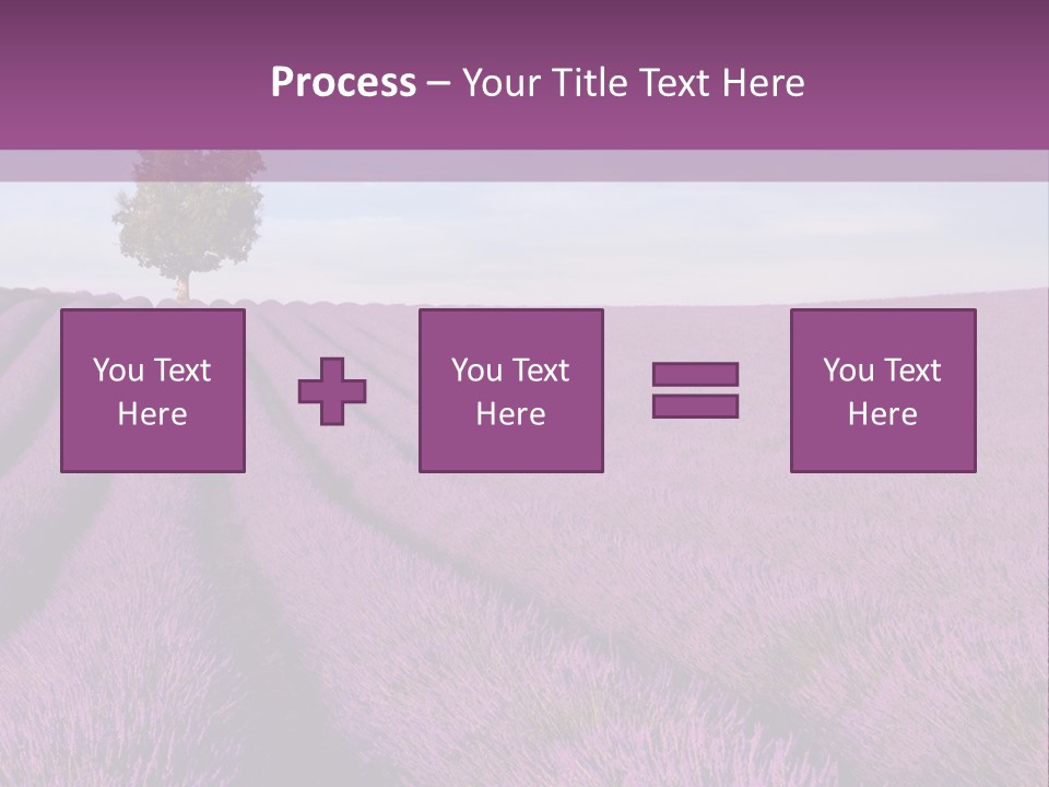 French Line Aroma PowerPoint Template