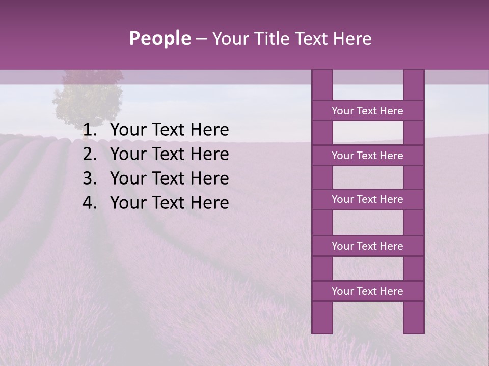 French Line Aroma PowerPoint Template