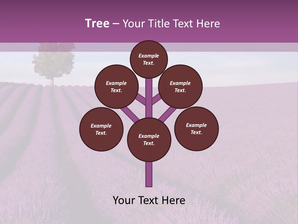 French Line Aroma PowerPoint Template