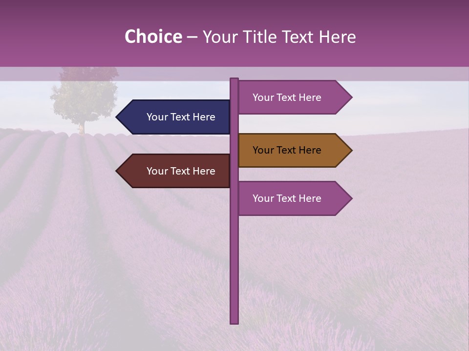 French Line Aroma PowerPoint Template