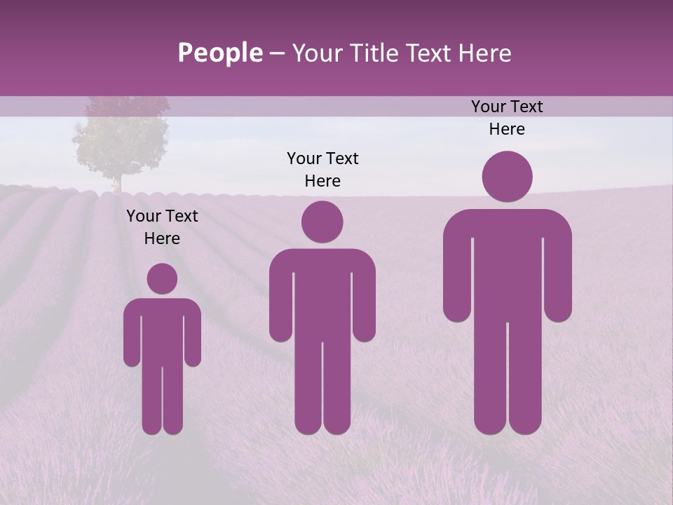 French Line Aroma PowerPoint Template