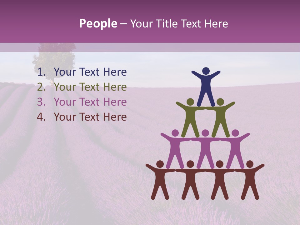 French Line Aroma PowerPoint Template