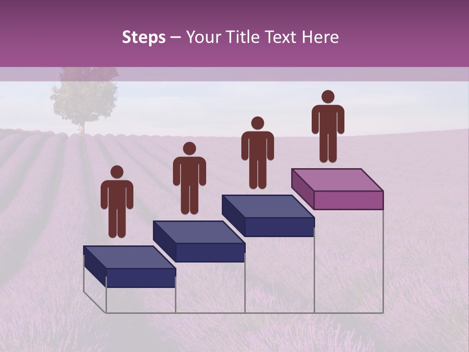 French Line Aroma PowerPoint Template