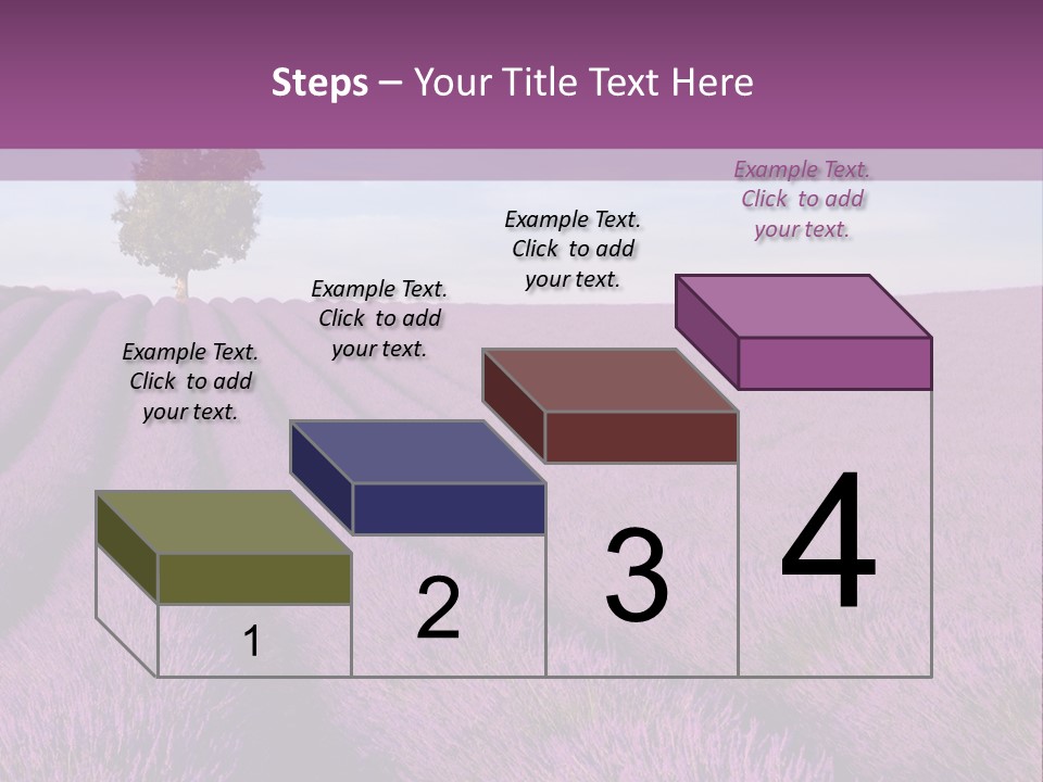 French Line Aroma PowerPoint Template