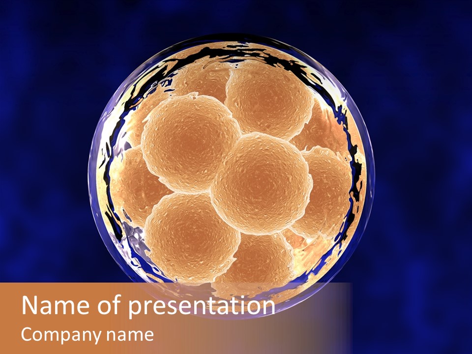 Microscope Health Care Infertility PowerPoint Template