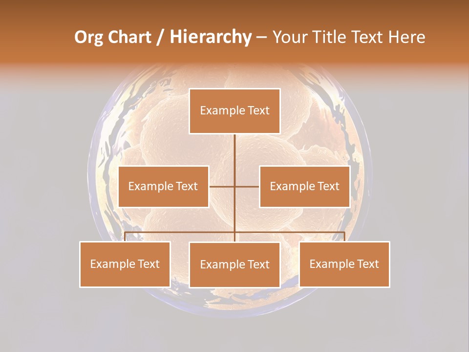 Microscope Health Care Infertility PowerPoint Template