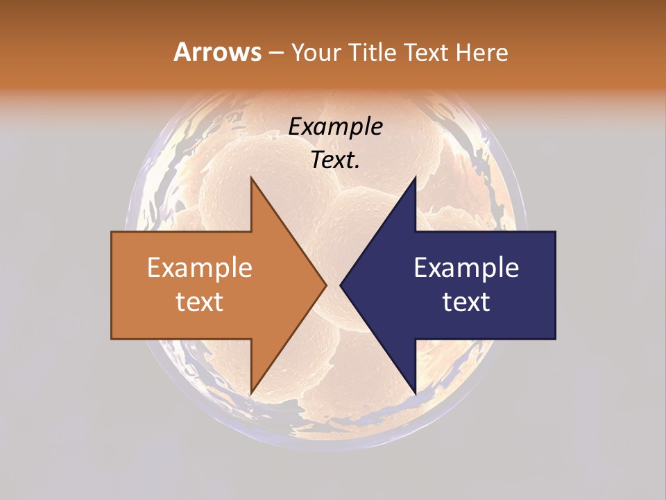Microscope Health Care Infertility PowerPoint Template