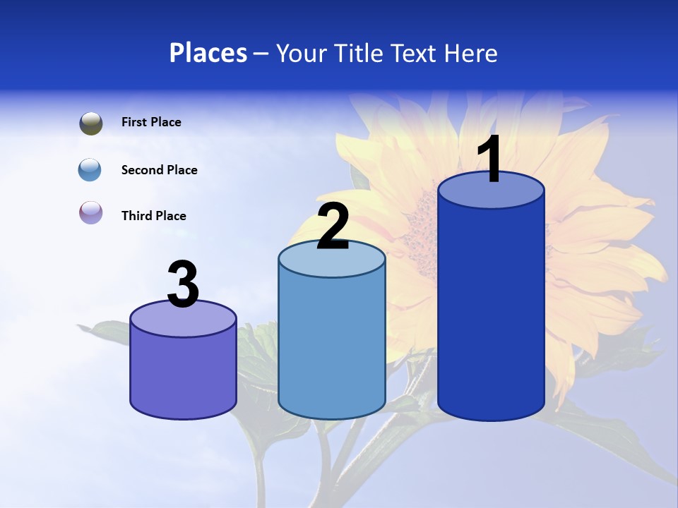 Sunflower Flower Grain PowerPoint Template