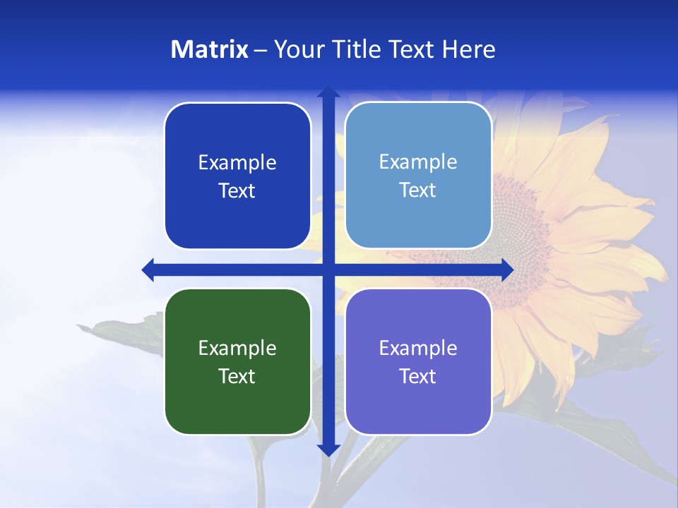 Sunflower Flower Grain PowerPoint Template