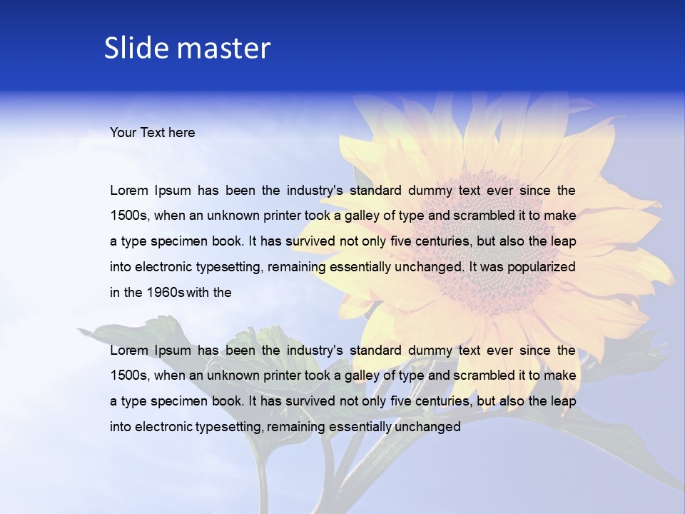 Sunflower Flower Grain PowerPoint Template