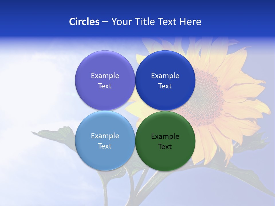 Sunflower Flower Grain PowerPoint Template