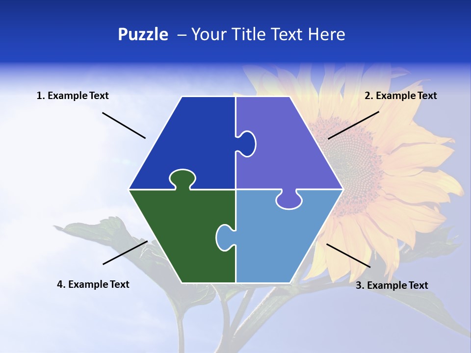 Sunflower Flower Grain PowerPoint Template