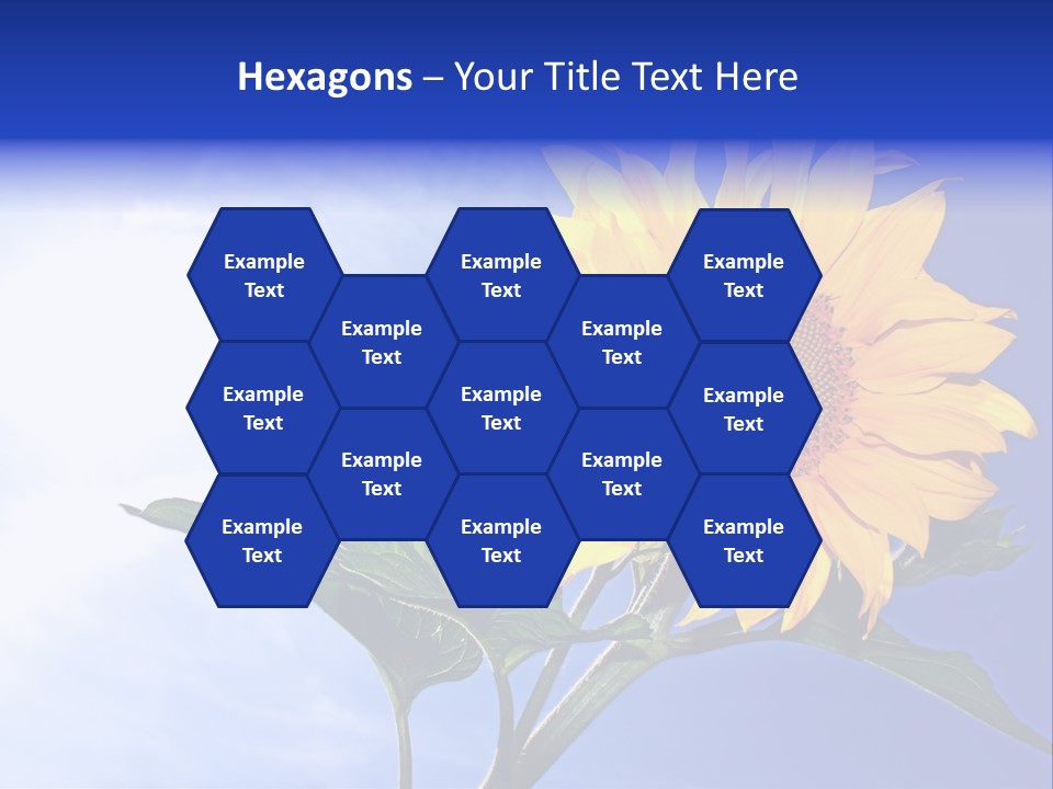 Sunflower Flower Grain PowerPoint Template