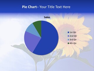 Sunflower Flower Grain PowerPoint Template