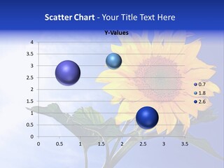 Sunflower Flower Grain PowerPoint Template