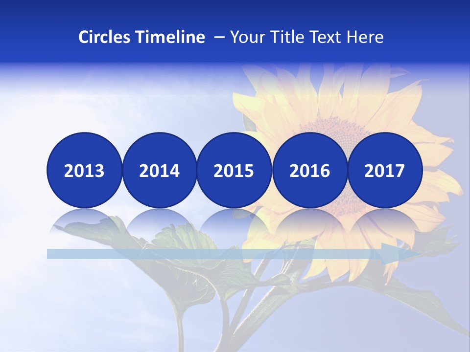 Sunflower Flower Grain PowerPoint Template