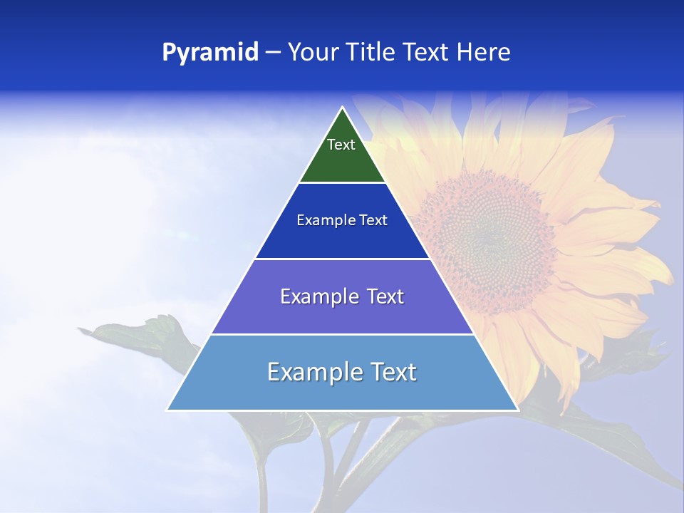 Sunflower Flower Grain PowerPoint Template